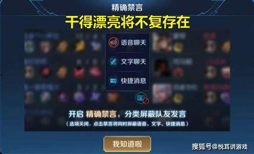 王者新赛季皮肤返场爆料最新,新赛季皮肤返场大揭秘，热门英雄皮肤即将回归！