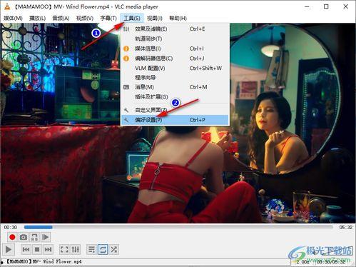 越南小安爆料视频播放,揭秘幕后真相，引发网友热议